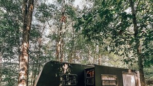 A black RV parked in a forested area.