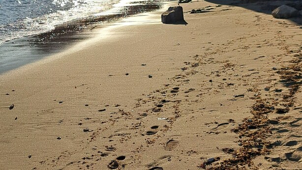 Een strand met voetafdrukken, wier en kliffen.