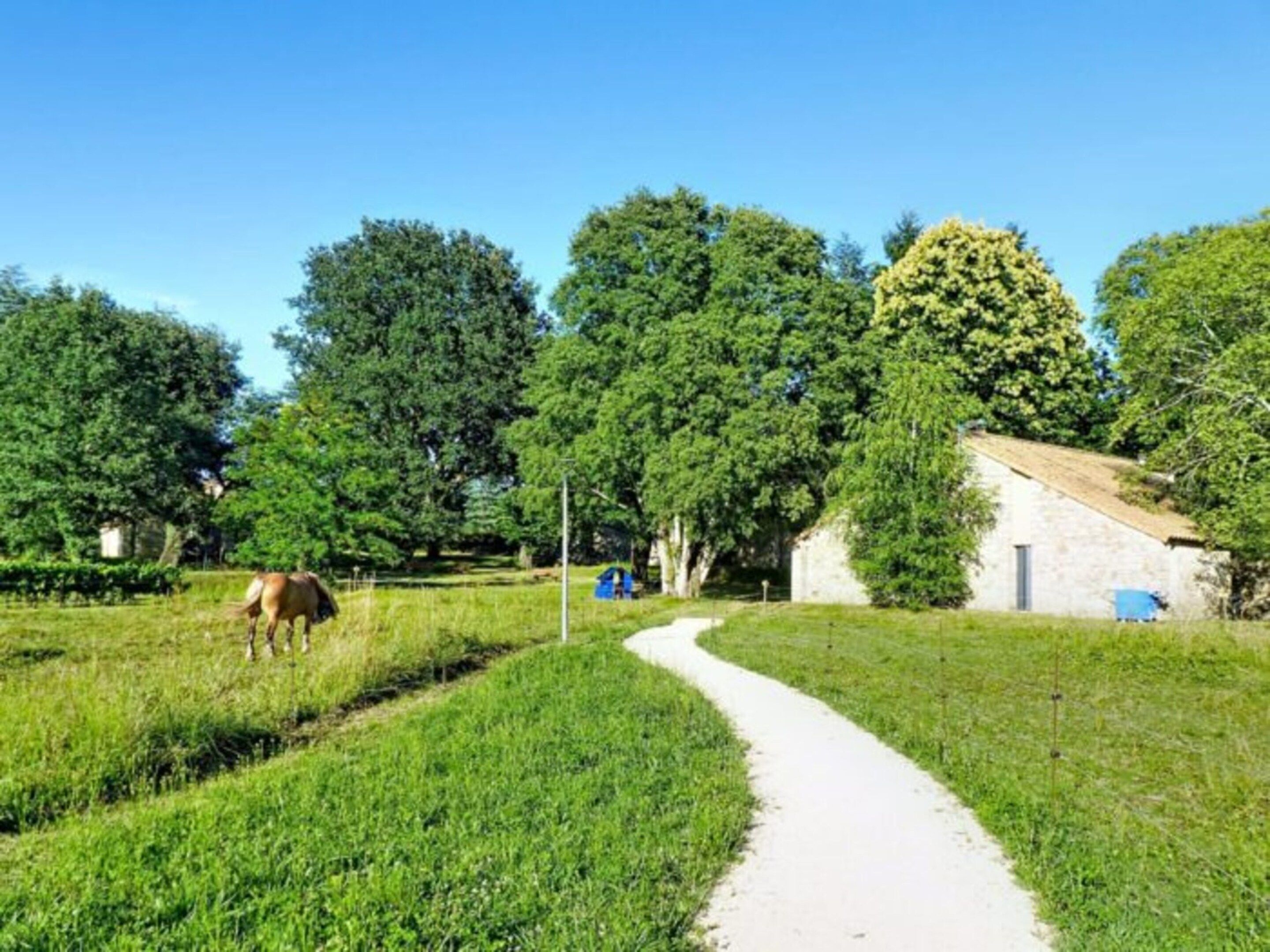 A rural landscape with a dirt path, a horse, and a small building.