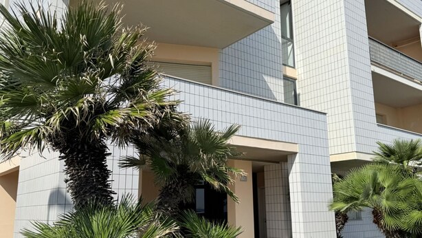 A modern building with a tiled facade, balconies, and surrounding palm trees.