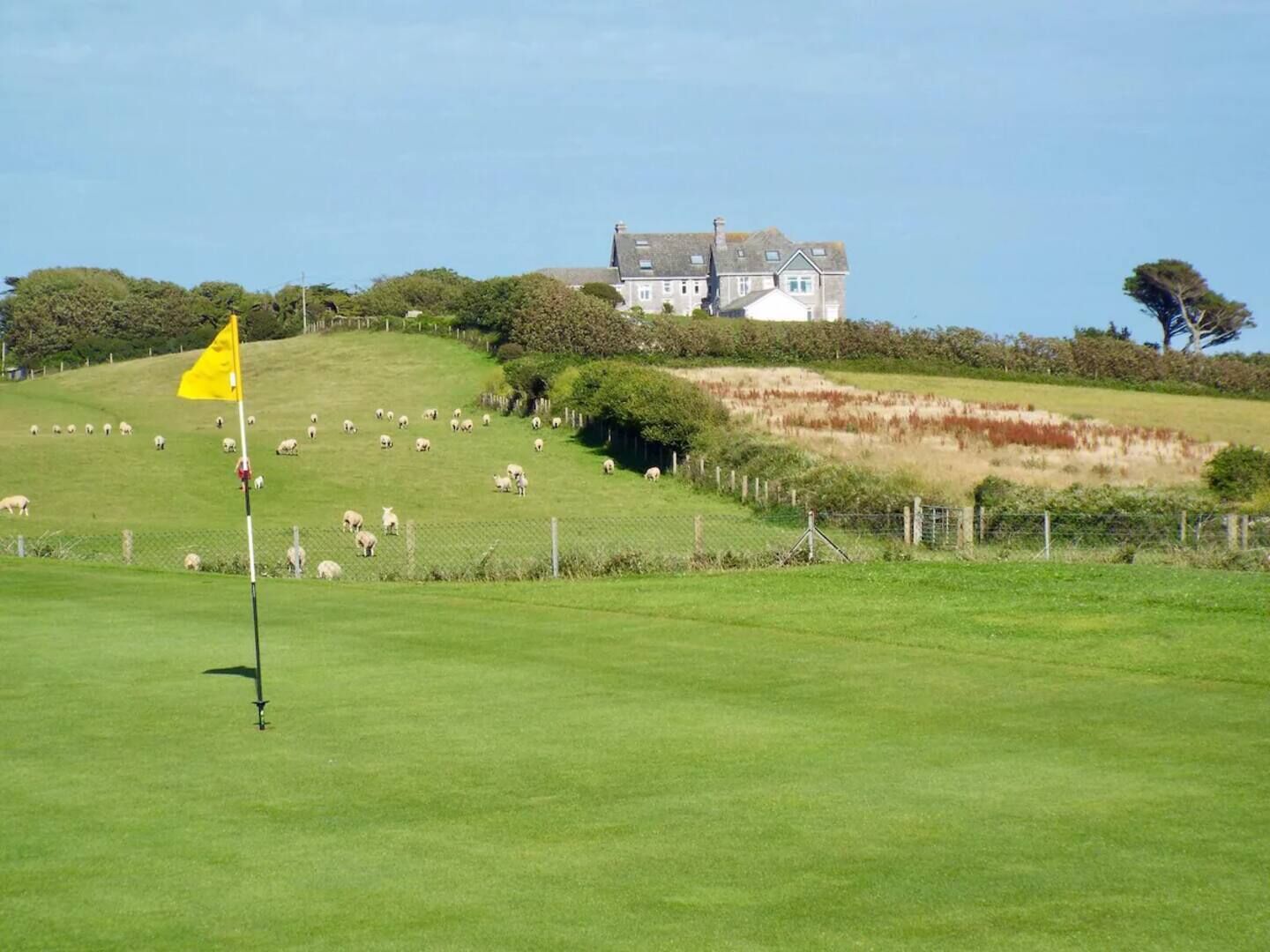 A golf course with a flag, a house in the background, and sheep grazing on the hill.