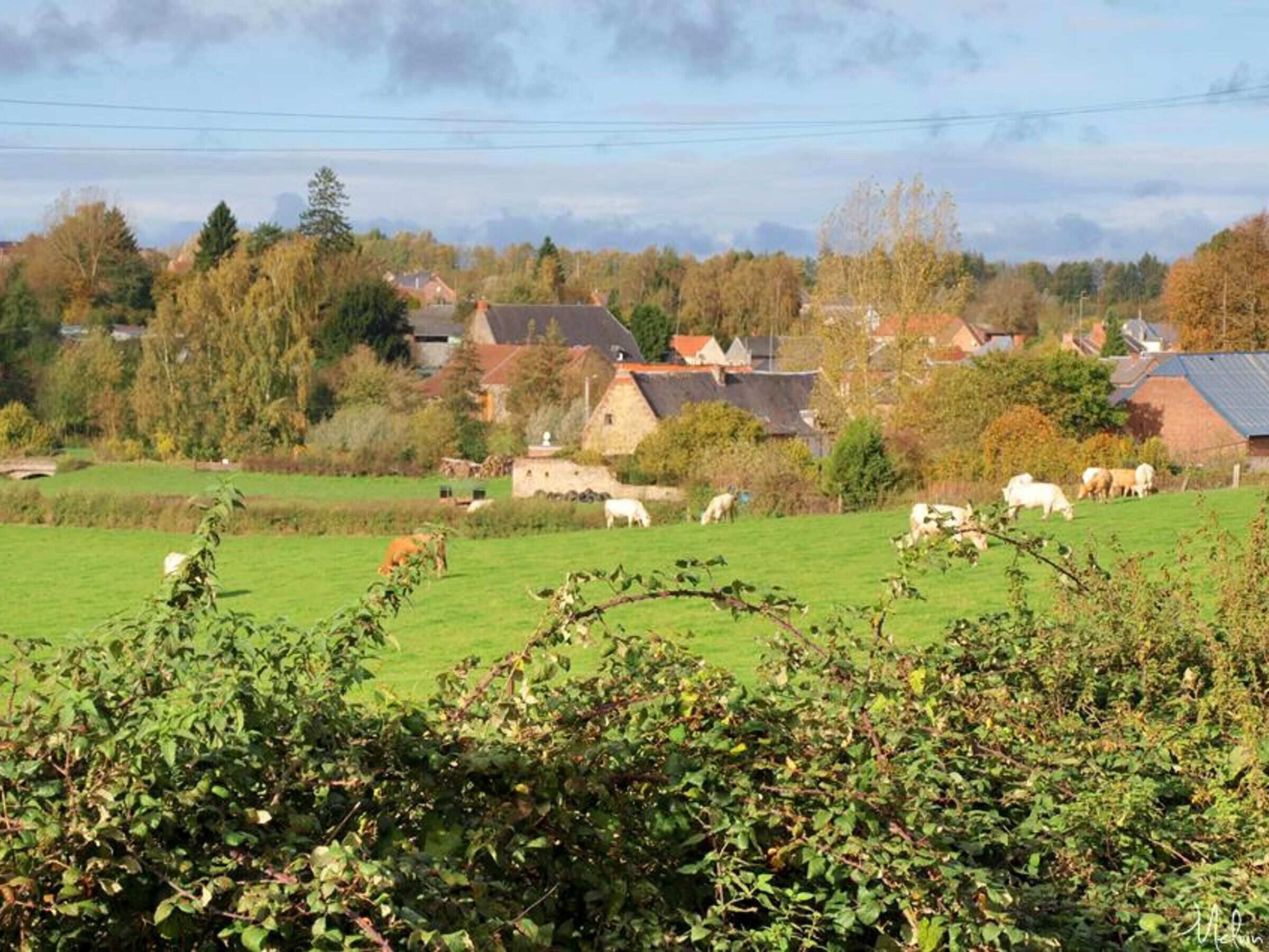 Un paysage rural avec des maisons, des animaux qui paissent et un pont.