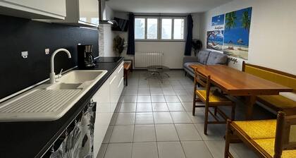 Appartement T2 avec jardin, parking - La Roche-Posay