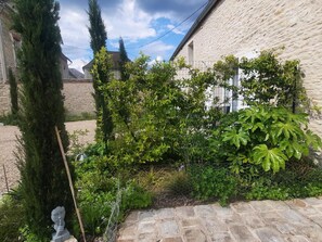A courtyard with a stone wall, a metal fence, and various plants.