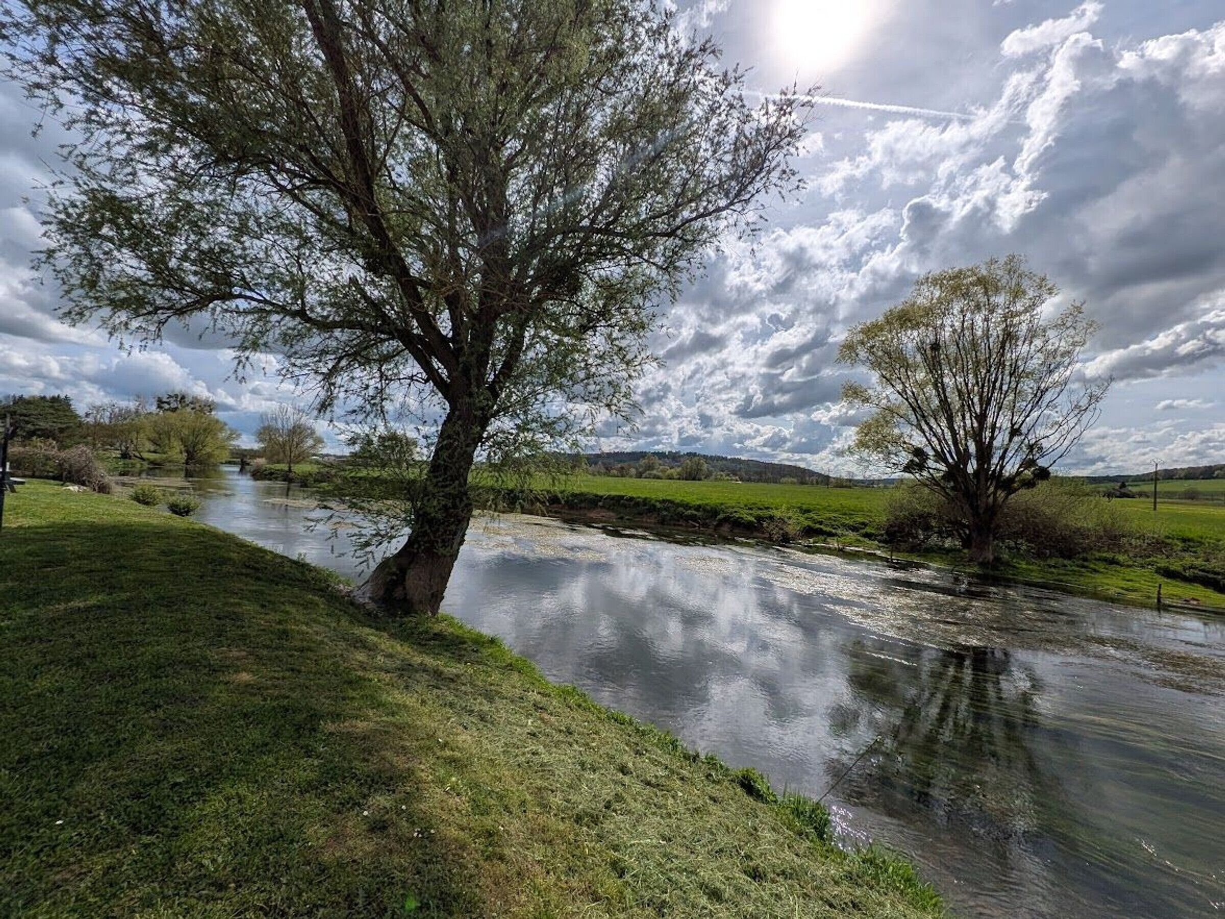 A river with trees on the banks, a grassy area, and a cloudy sky.
