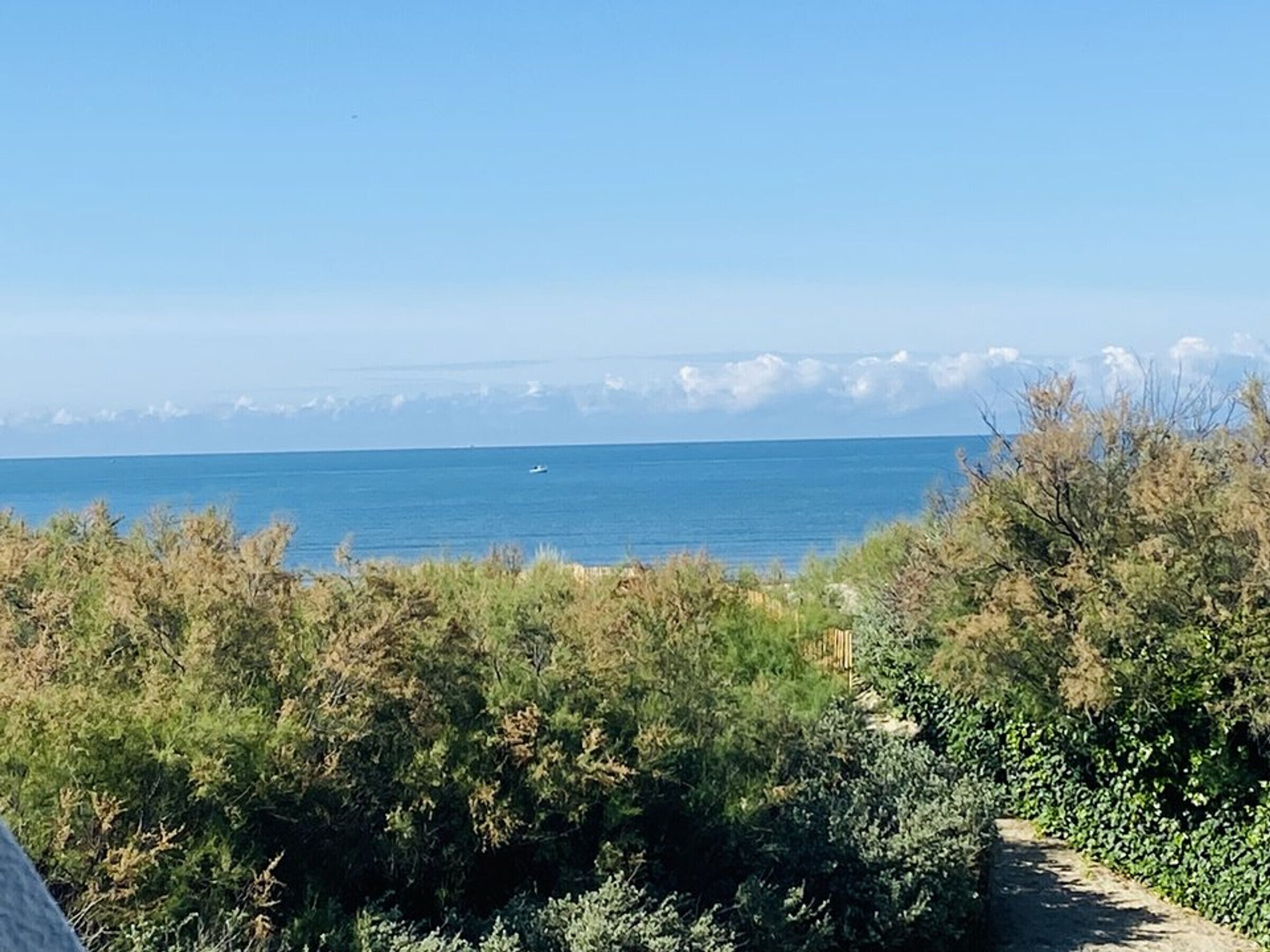 A coastal path with dense greenery and a clear view of the sea.