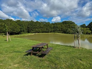 Outdoor dining - Authentic Sologne cottage - 6 guests (Villeny)