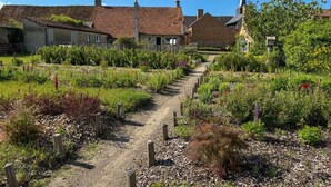 Un village rural avec un chemin de terre qui traverse un jardin où poussent différentes plantes et fleurs.