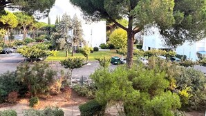 Un quartier résidentiel avec des arbres, des voitures garées et un immeuble en arrière-plan.