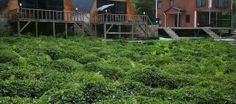MARİPOSA BUNGALOV