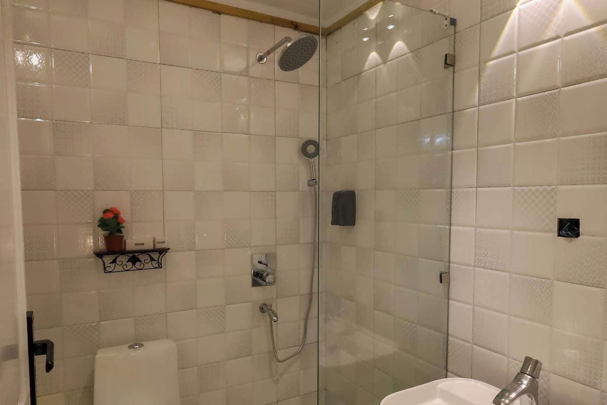 A bathroom with a glass-enclosed shower, a toilet, and a sink with a mirror.