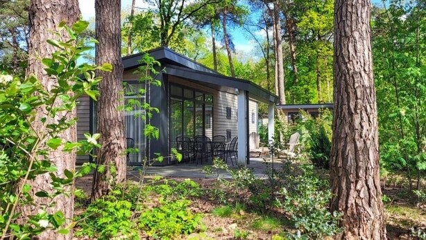 A modern cabin with a patio, surrounded by trees. - De Ankergooi! (Hardenberg)