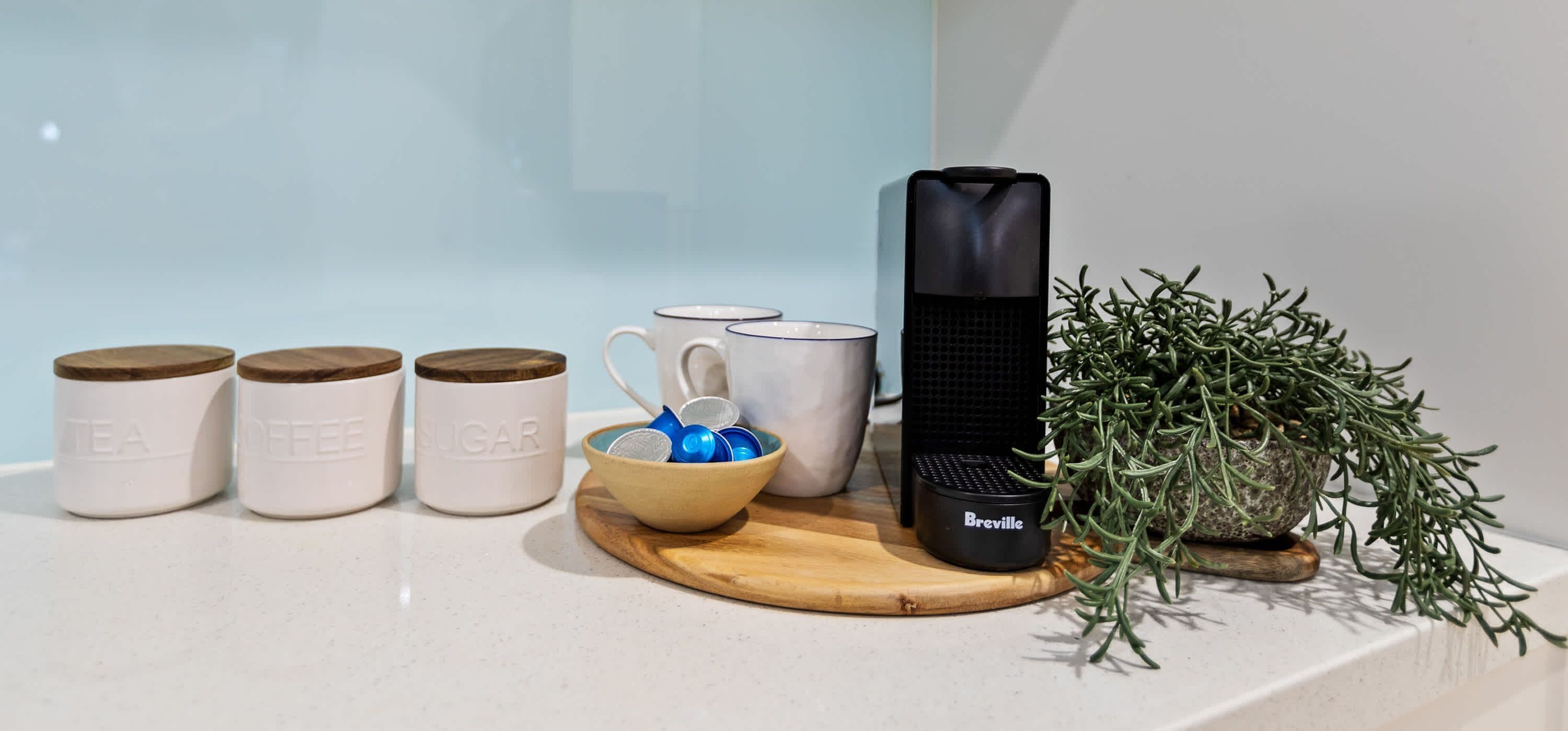 A kitchen counter with tea, coffee, and sugar containers, a Breville coffee maker, a bowl with blue lids, and a potted rosemary plant.