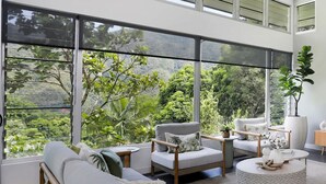 A modern living room with large windows, a sofa, a chair, a round coffee table, and a potted plant. - Rainforest Retreat Pool W Stunning Views (Cairns)