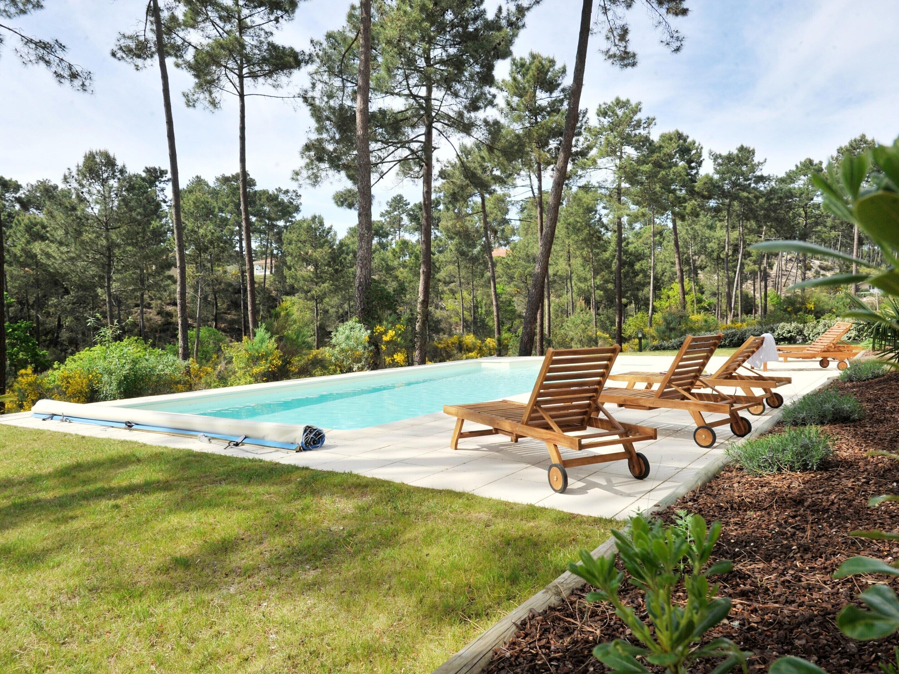Una piscina con sillas de descanso, rodeada de árboles y vegetación.