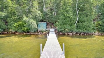 Un muelle de madera se adentra en un río rodeado de un bosque denso.
