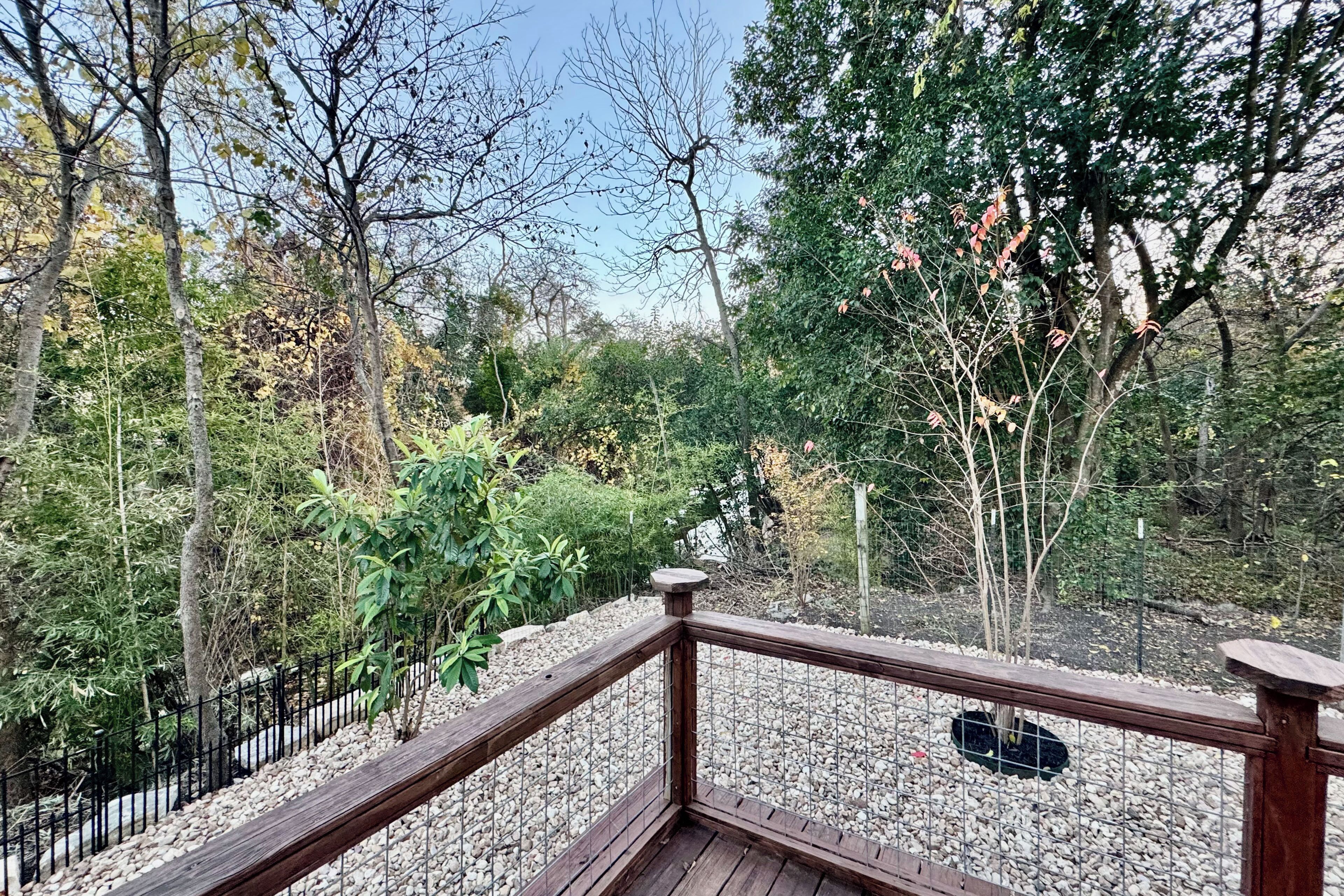 Eine Holzterrasse mit Metallgeländer, die auf einen Garten mit verschiedenen Pflanzen und Bäumen blickt.