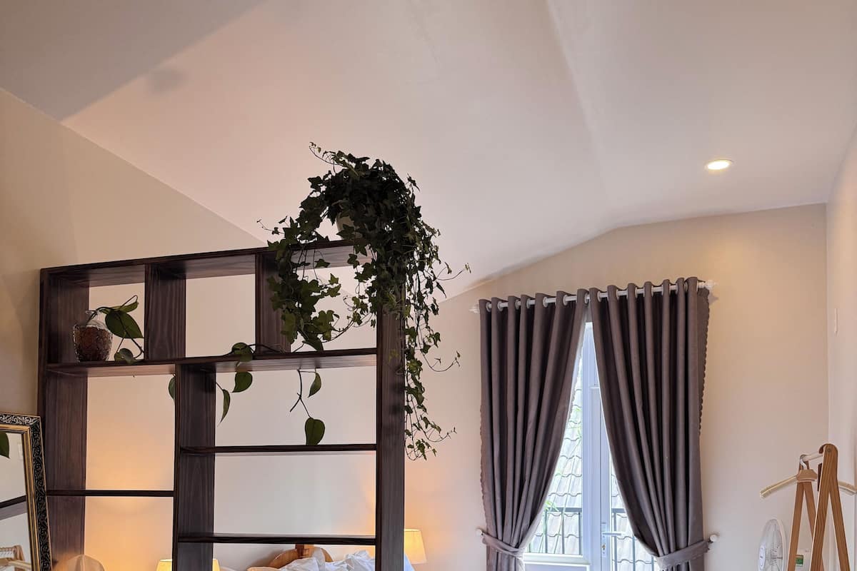 A bedroom with a bed, bedside table, lamp, and a plant.