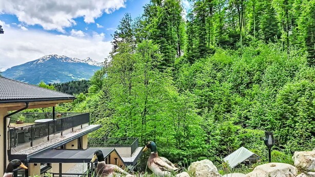 Um chalé com varanda que oferece vista para uma área arborizada e uma montanha ao fundo.