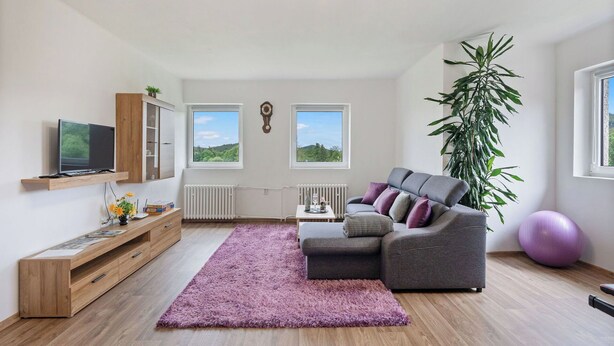 Ein modernes Wohnzimmer mit einem grauen Sofa, einem Holz-TV-Schrank, einem großen Fenster und einer Heizung.