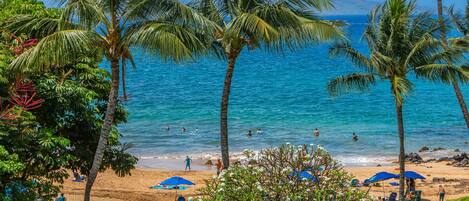 A beach with palm trees, clear blue water, and people swimming.