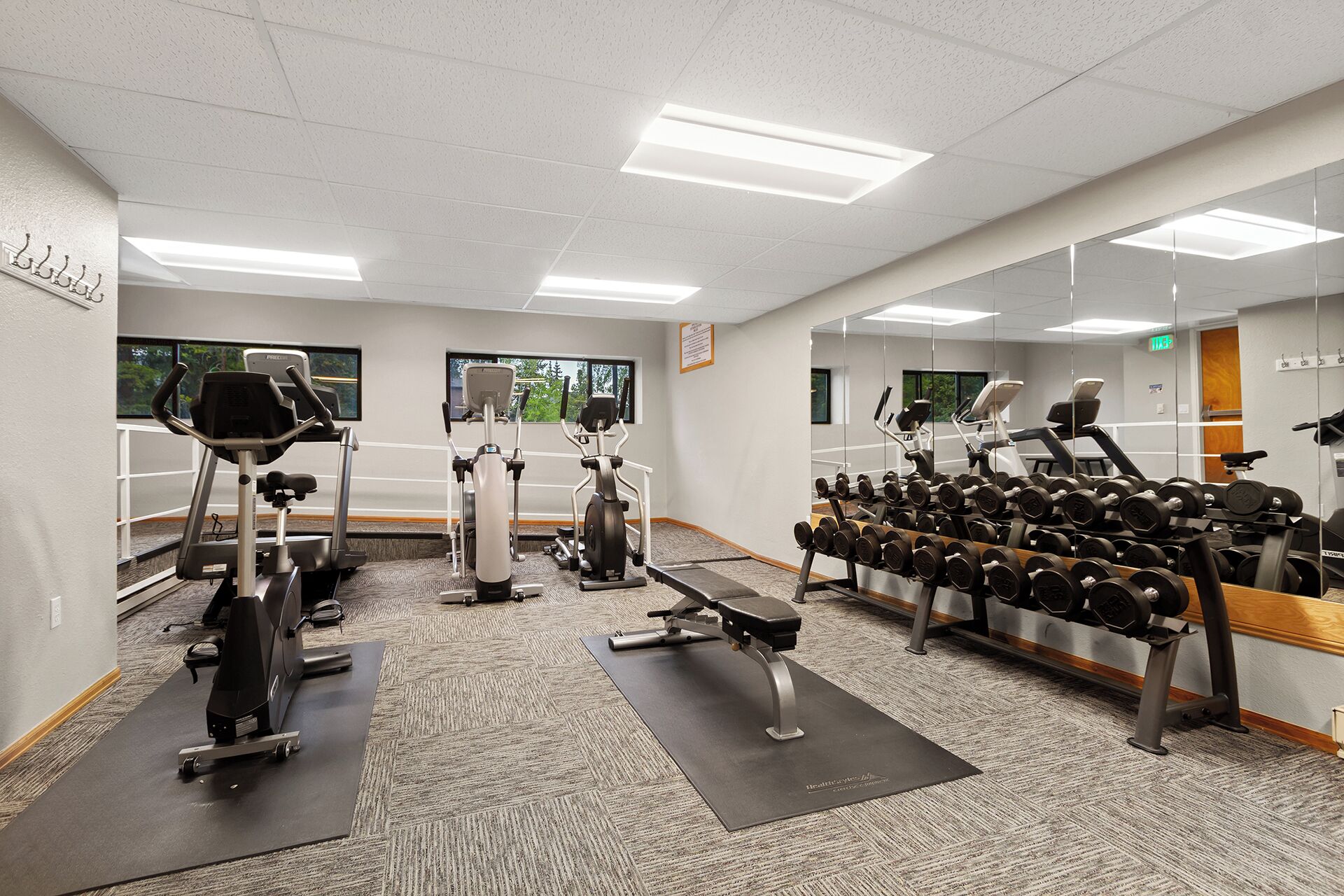 A gym with cardio machines, weight benches, and dumbbells.