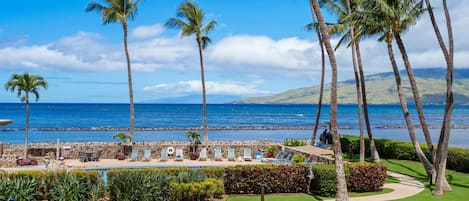A resort with a pool area, palm trees, and a view of the ocean.