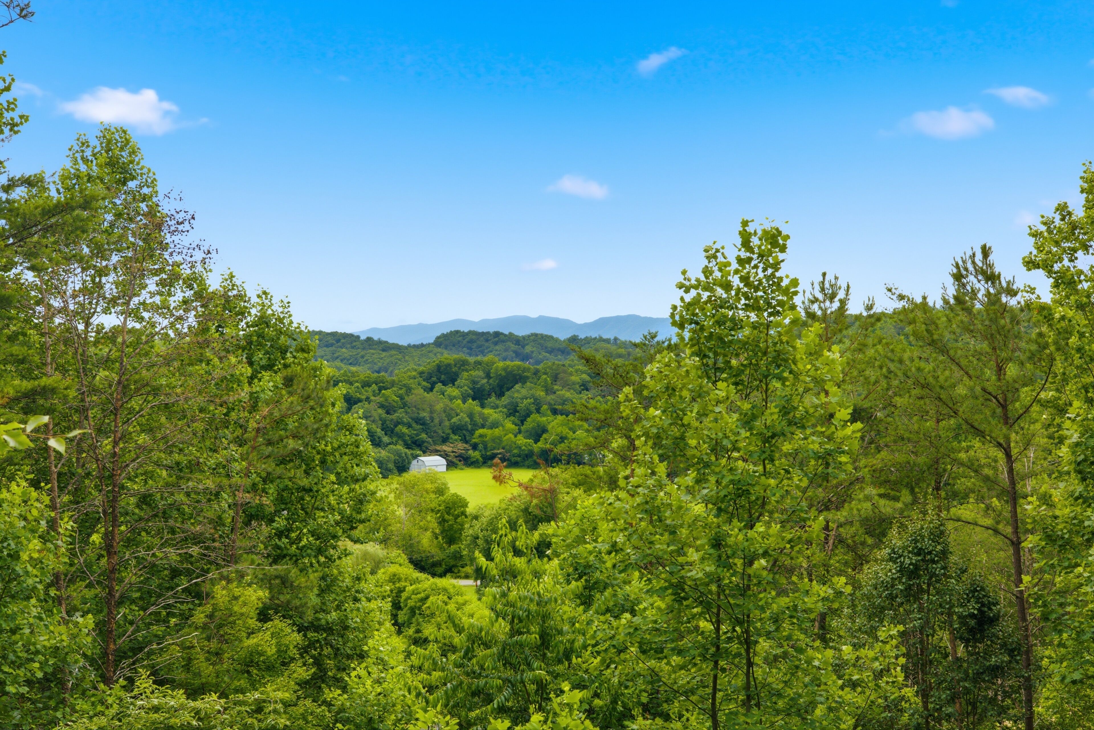 A lush green landscape with dense trees and a distant view of a white building.