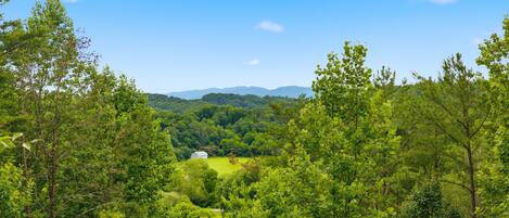 A lush green landscape with dense trees and a distant view of a white building.