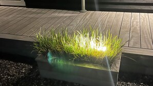Una jardinera rectangular con césped y guijarros, ubicada sobre una terraza de madera.