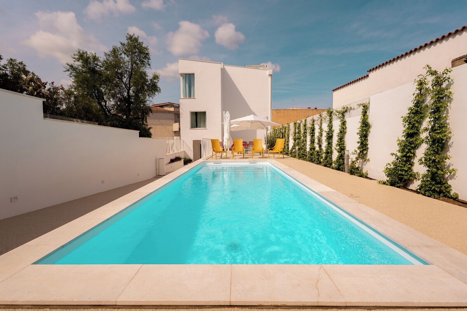 Una piscina rectangular con agua azul cristalina, rodeada por un muro blanco con enredaderas verdes y sillas amarillas.