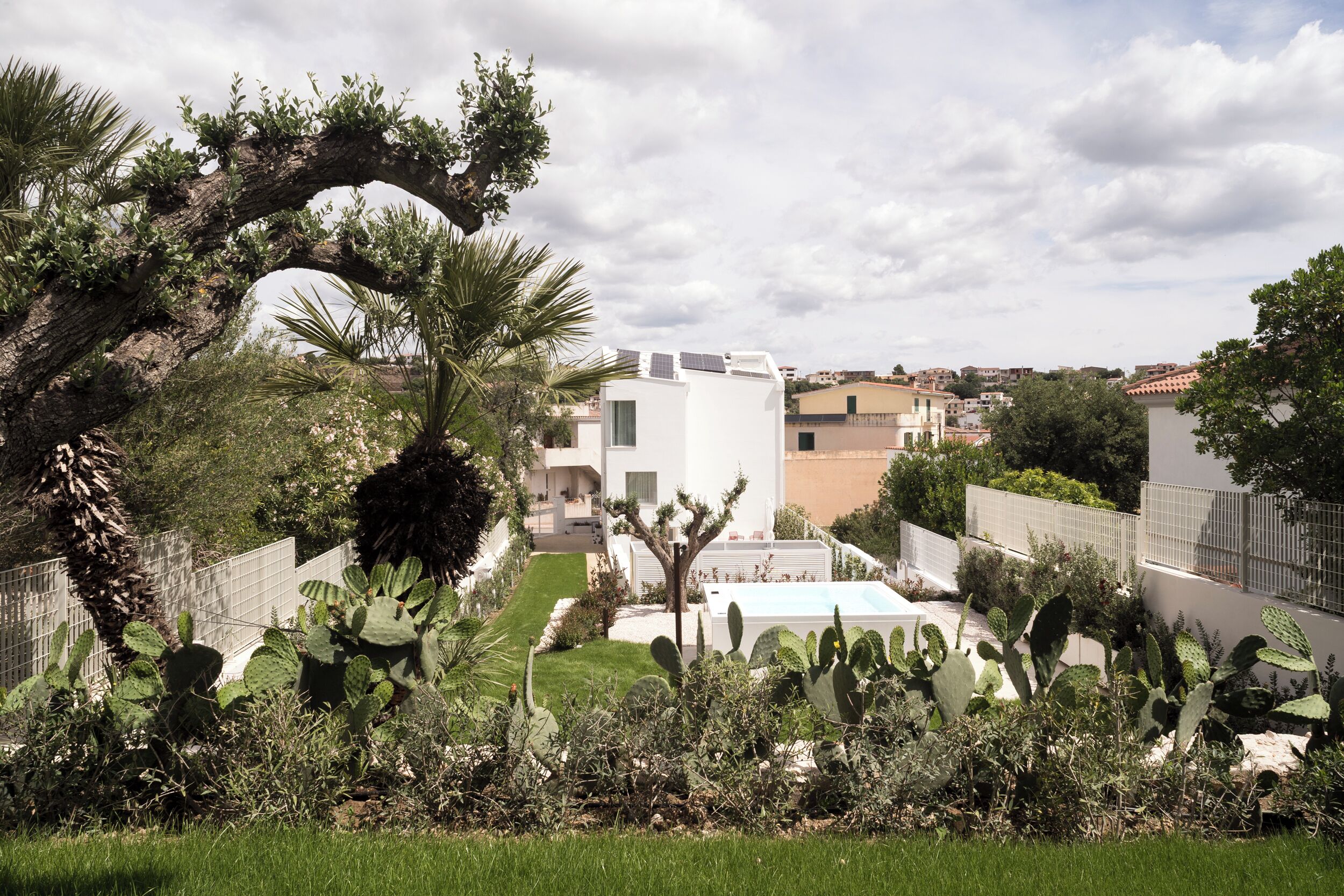 A residential area with white buildings, a swimming pool, and cacti.