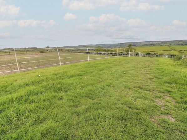 Un campo cubierto de césped con líneas blancas delimitadoras, probablemente para deportes o actividades.