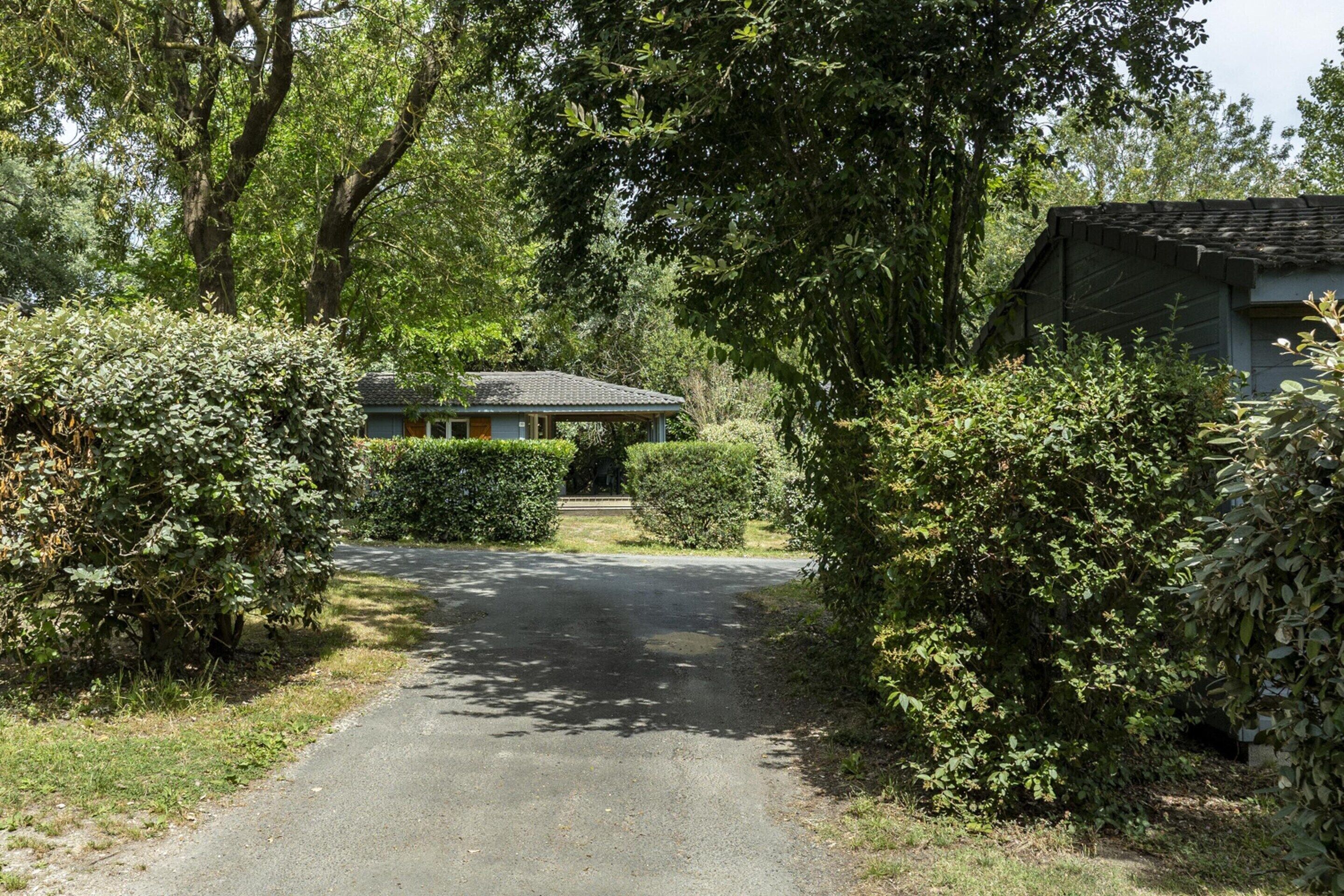 A rural road leading to a house surrounded by dense foliage.