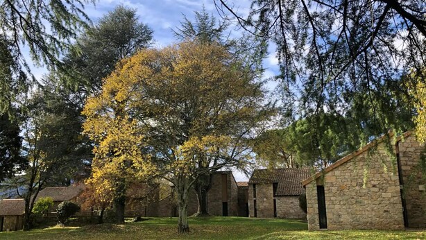 Un patio con edificios de piedra, árboles y un área verde.