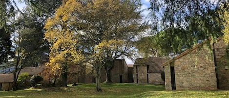 House | View from property