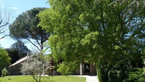 Un sendero conduce a un edificio de fachada de piedra, rodeado de exuberante follaje y árboles.