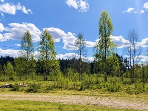 A natural landscape with trees and a clear sky. - 4 Star Holiday Home in Likenas (Likenäs)