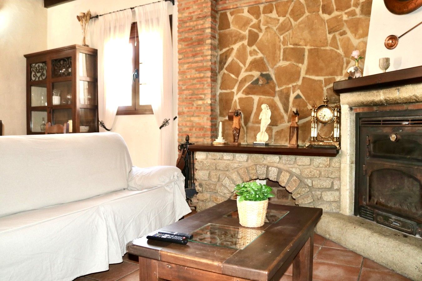 A cozy living room with a stone fireplace, a sofa, a wooden coffee table with a plant, and a cabinet with glass doors.