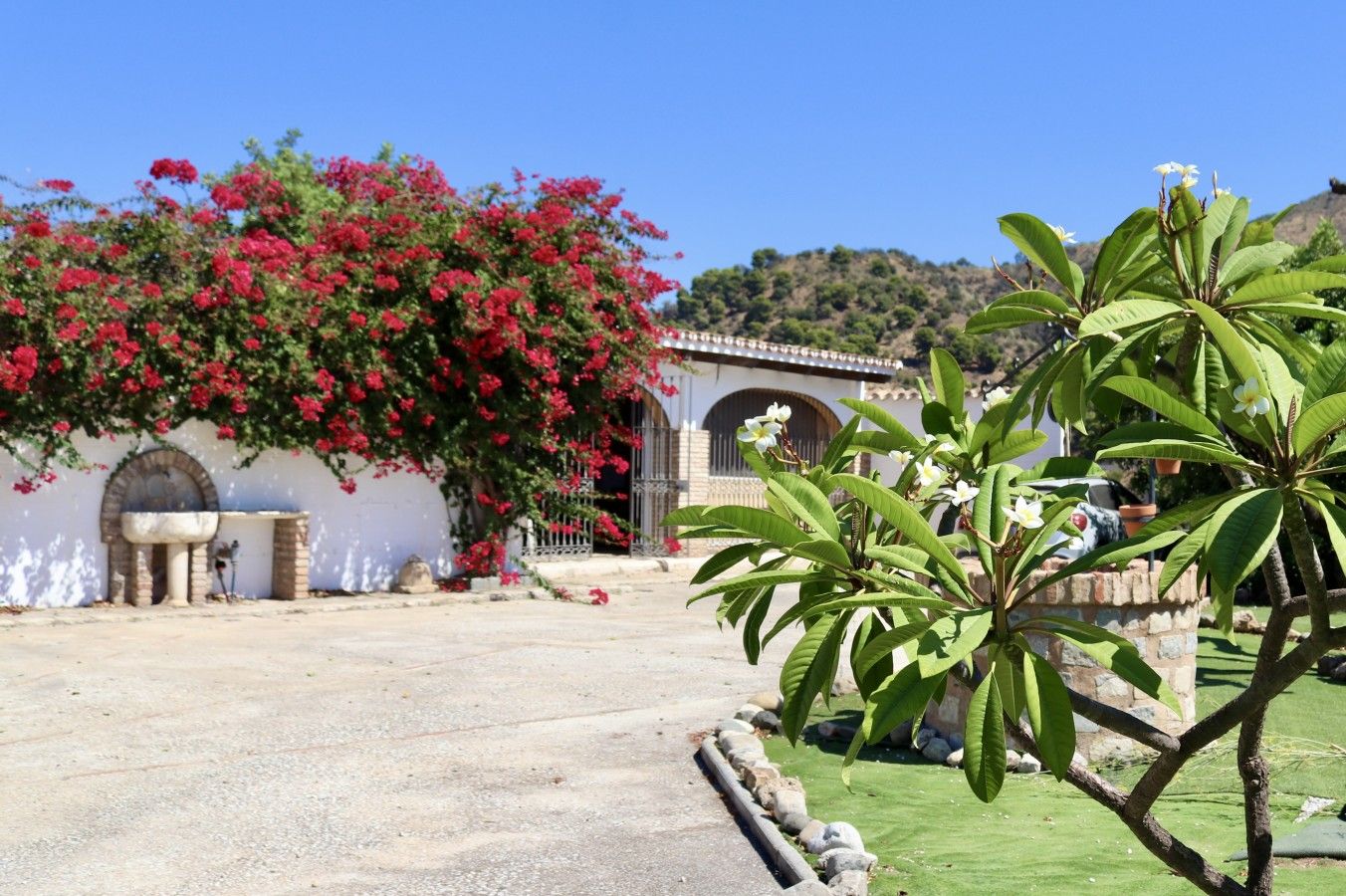 A courtyard with a white building, a stone bench, and a tree with green leaves.