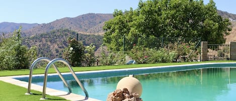 A swimming pool with a metal ladder, surrounded by green grass and a rock feature.