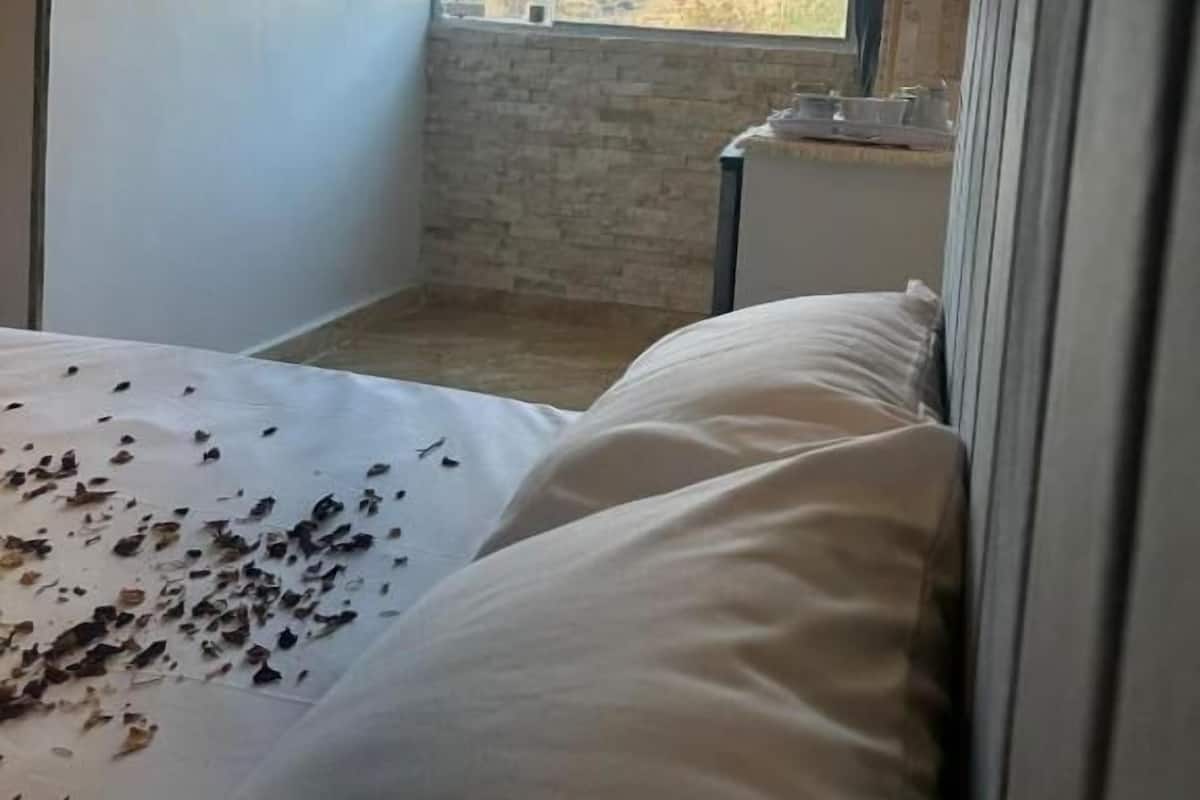 Deluxe Double Room, Mountain View | In-room safe, soundproofing, iron/ironing board