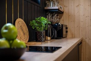 Fridge, microwave, stovetop, dishwasher - Large holiday homes, pool, sauna, jacuzzi (Kopan)