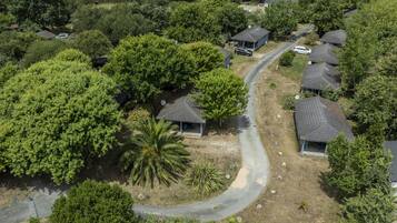 An aerial view of a residential area with houses, a winding road, and dense greenery.
