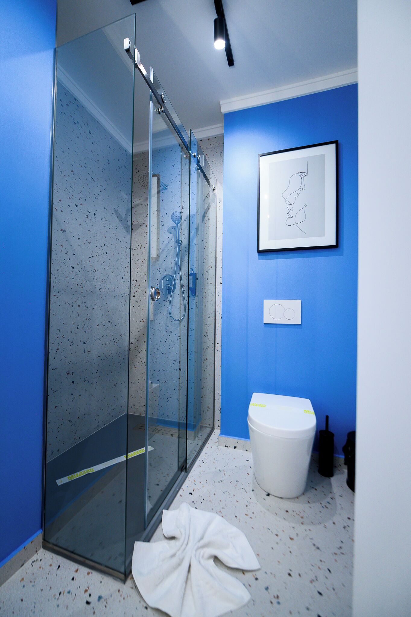 Un baño moderno con cabina de ducha de vidrio, inodoro blanco y una obra de arte enmarcada en la pared.