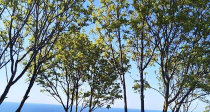 Charming 3-bedroom house in gorgeous Balchik with AC and gym