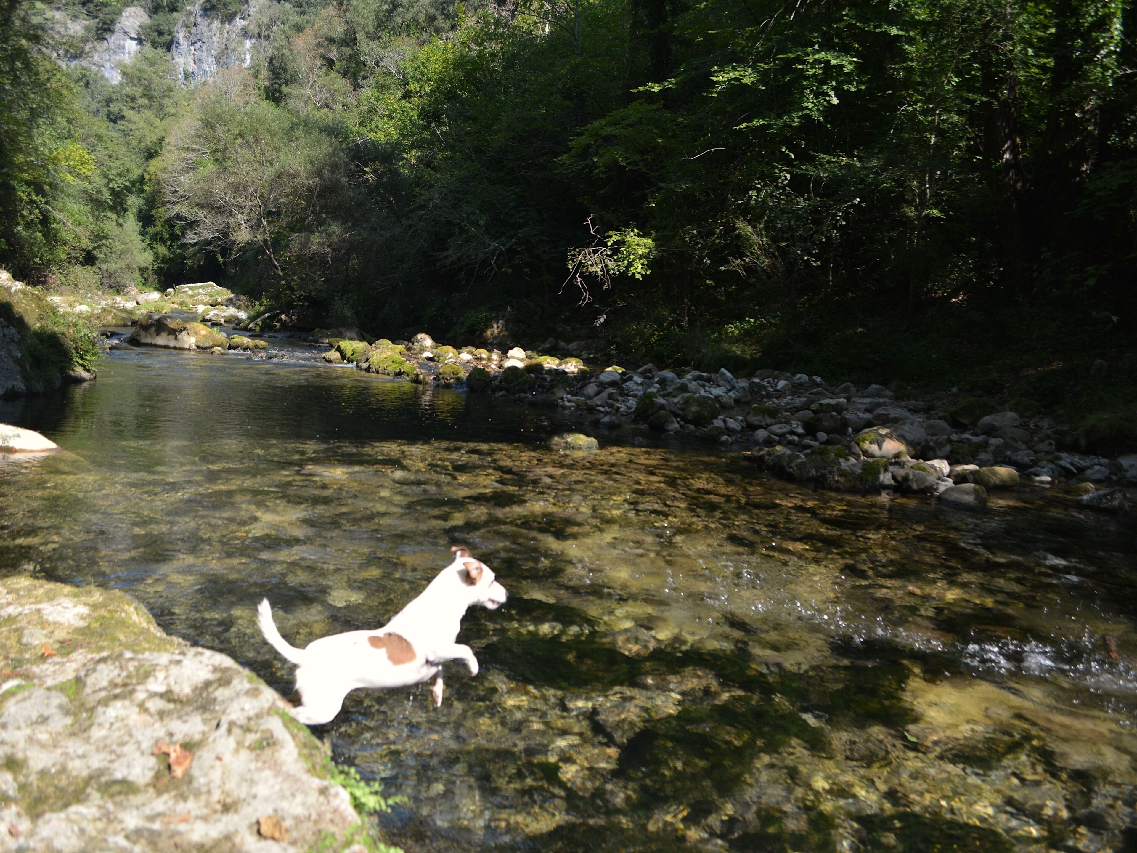 A river with clear water, surrounded by rocks and greenery.