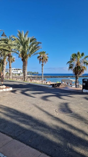 Eine gepflasterte Promenade mit Palmen, einem Strand und blauem Himmel.