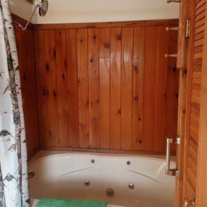 Hair dryer, towels - 1BR Cabin Plus Loft For 2 Great Views Over Nature Preserve (Davis)