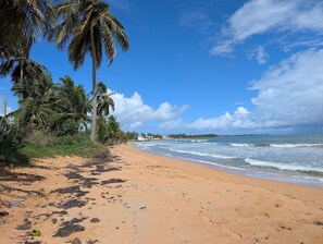 A sandy beach with palm trees and ocean waves. - Beachfront Luquillo House | Balcony & Kitchen (Luquillo)